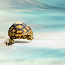 big big world by Laura Fasulo