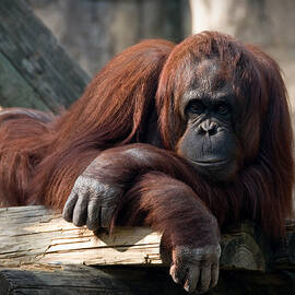 Big Hands by Steven Sparks