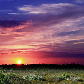 Big Texas Sky by Laura Fasulo