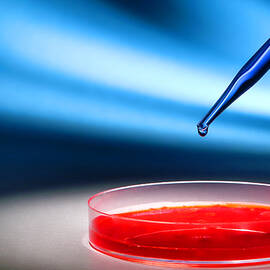 Biotechnology Experiment in Science Research Lab by Science Research Lab