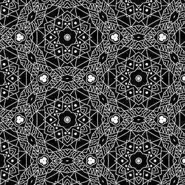 Black and White Boho Pattern 3- Art by Linda Woods by Linda Woods