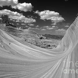 Black And White Swirling Landscape by Adam Jewell