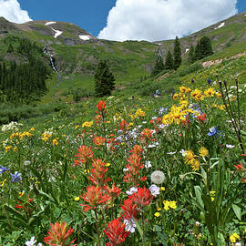 Black Bear Pass Landscape by Cascade Colors