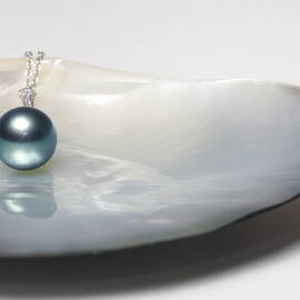 Black pearl necklace on oyster shell by Sami Sarkis Photography