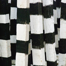 Blanco y Negro by Skip Hunt