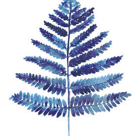Blue ferns watercolor art print painting by Joanna Szmerdt