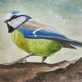 Blue Tit by Angeles M Pomata