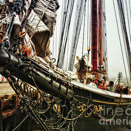 Bluenose by Tatiana Travelways