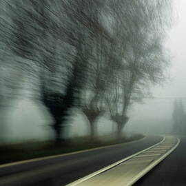 Blurry bare trees visible through the fog by Sami Sarkis Photography