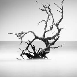 Boneyard Beach X by Ivo Kerssemakers