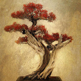 Bonsai Pine by Jessica Jenney