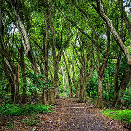 Botanical by Kelley King