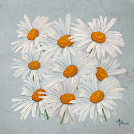 Bouquet Of White Daisies by Angeles M Pomata