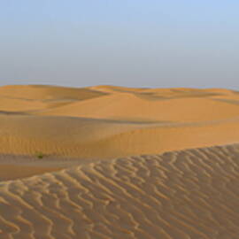 Boy looking at dunes in Sahara Desert by Sami Sarkis Photography