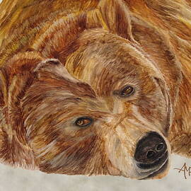 Brown Bear by Angeles M Pomata