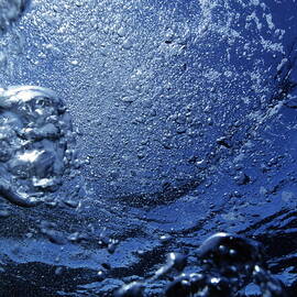 Bubbles rising to surface in sea underwater view by Sami Sarkis Photography