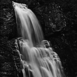 Bushkill Falls by Louis Dallara