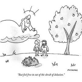 But feel free to eat of the shrub of delusion by John McNamee