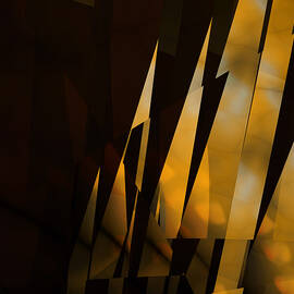 By the Light of the Setting Sun by Vic Eberly