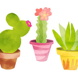Cactus Plants In Pretty Pots by Little Bunny Sunshine