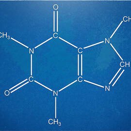 Caffeine Molecular Structure Blueprint by Nikki Marie Smith