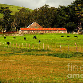 California Coastal Farm by Adam Jewell