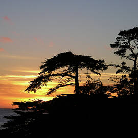 California Coastal Sunset by David Shuler