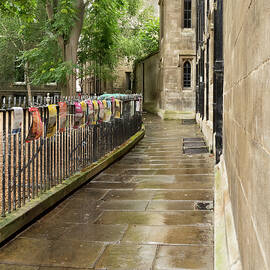 Cambridge Alley by Jean Noren