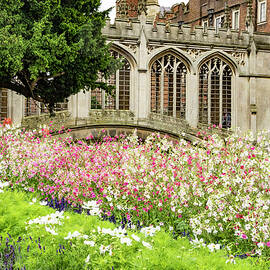 Cambridge Bridge of Sighs  by Jean Noren