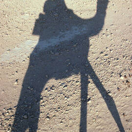 Camel Shadow by Gloria & Richard Maschmeyer - Printscapes