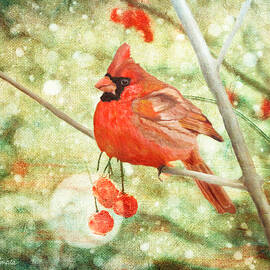 Cardinal by Angeles M Pomata