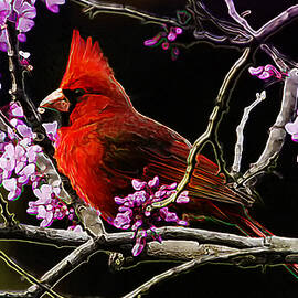 Cardinal in Bloom by Bill and Linda Tiepelman