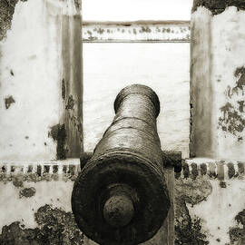 Caribbean Cannon by Steven Sparks