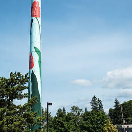 Carnation Chimney by Tom Cochran