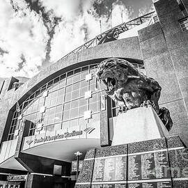 Carolina Panthers Stadium Black and White Photo by Paul Velgos