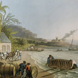 Carting and Putting Sugar Hogsheads on Board by William Clark