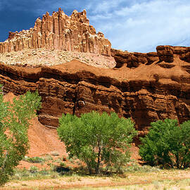 Castle Over Cottonwoods by Adam Jewell