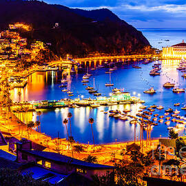 Catalina Island Avalon Bay at Night by Paul Velgos