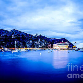 Catalina Island Avalon Bay at Night Picture by Paul Velgos