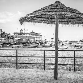 Catalina Island Umbrella in Black and White by Paul Velgos