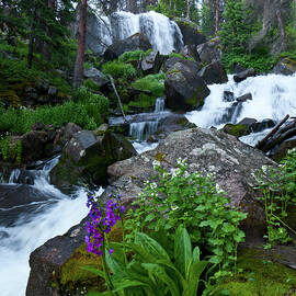 Cataract Gulch Stream and Waterfall by Cascade Colors