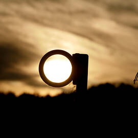 Catching Sunbeams by Richard Reeve