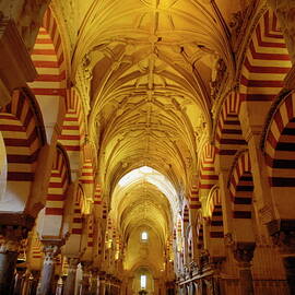 Ceilings inside the Catedral de Cordoba by Sami Sarkis Photography