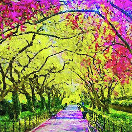 Central Park, New York - 01 by AM FineArtPrints