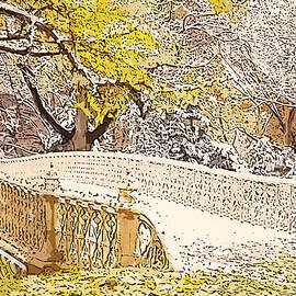 Central Park, New York  by AM FineArtPrints