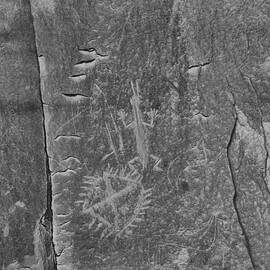 Chaco Petroglyph Figures Black And White by Adam Jewell
