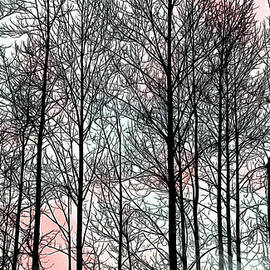 Chatham Twilight by Gina Harrison