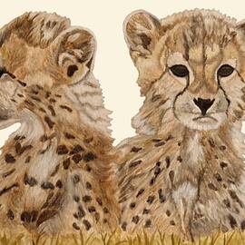 Cheetah Cubs by Angeles M Pomata