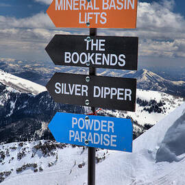 Choose Your Own Snowbird Adventure by Adam Jewell