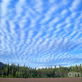 Cirrocumulus clouds over Mt. McLaughlin by Bruce Block